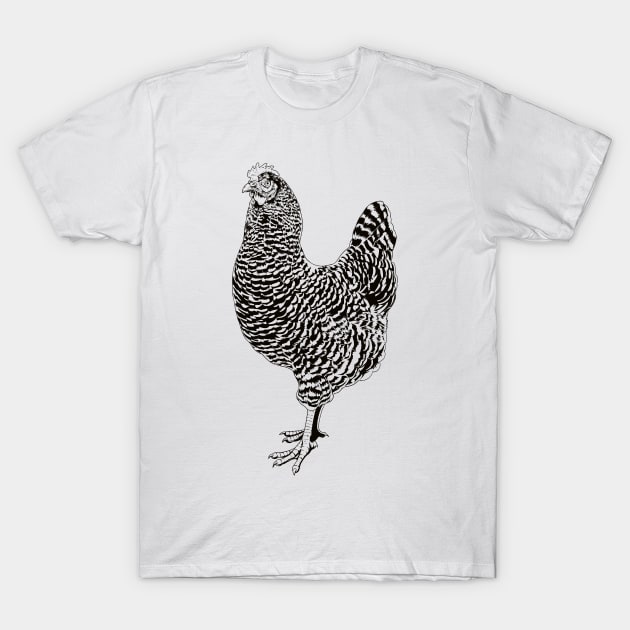 Drawing of an Plymouth Rock chicken T-Shirt by Modern Medieval Design